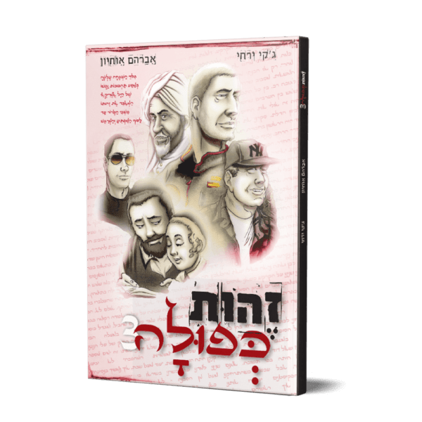 זהות כפולה 3